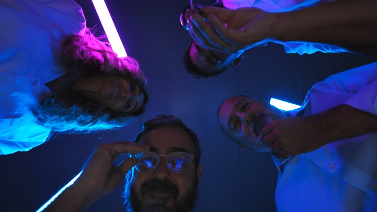 Si ho busques, ho tens