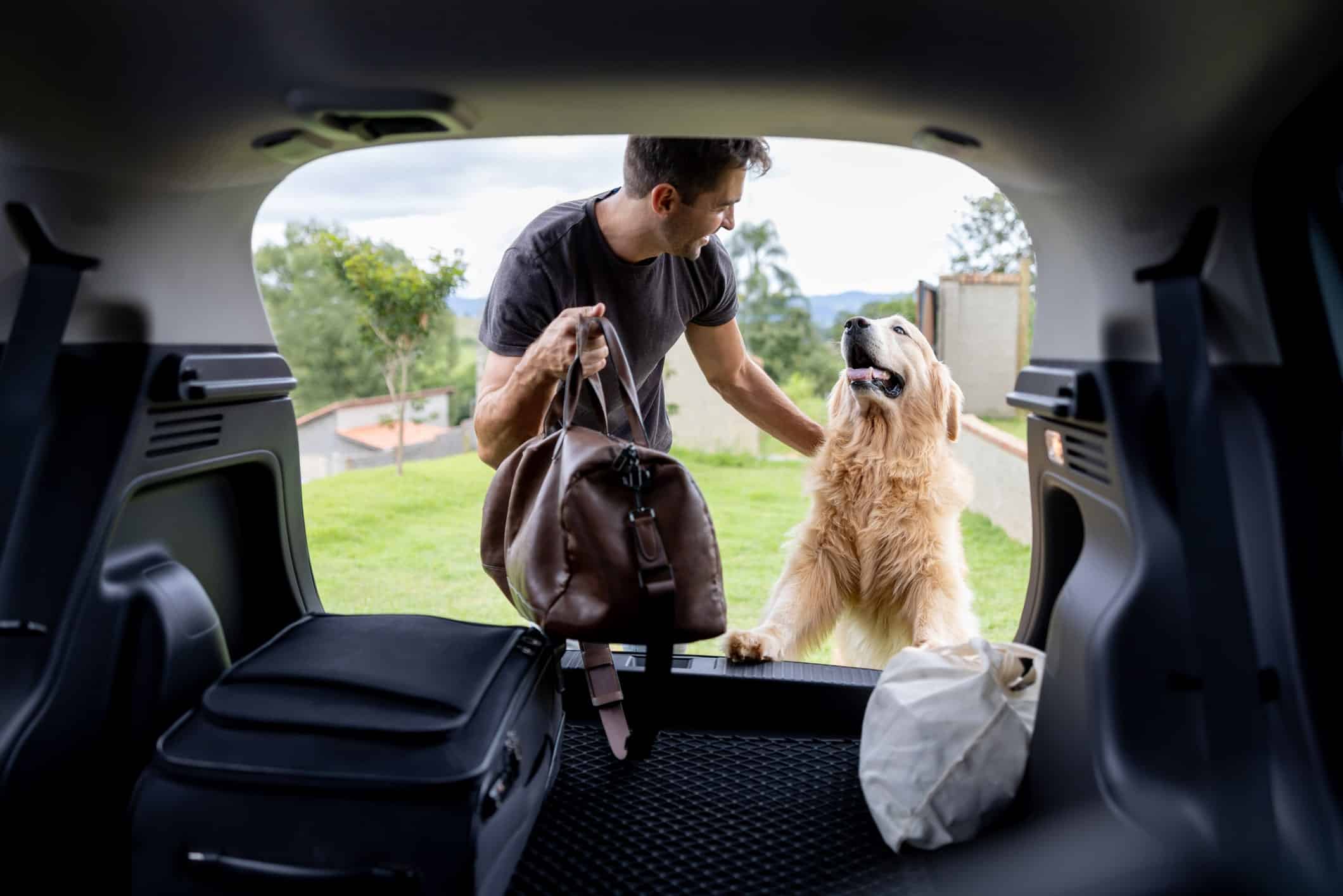 Cómo llevar el perro en el coche: Guía práctica para un viaje seguro y  cómodo - RACC Start